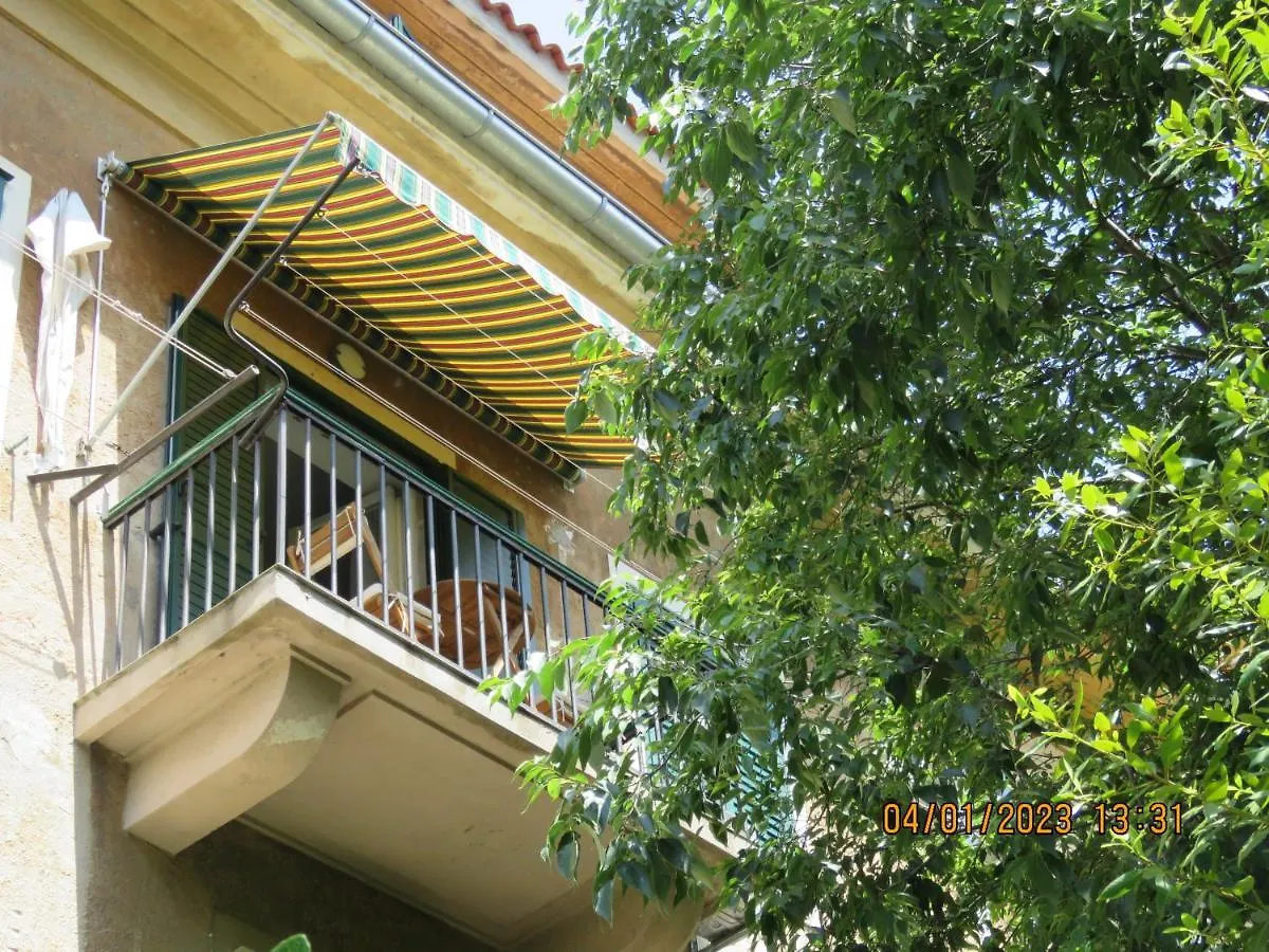 Peacock Apartment Split